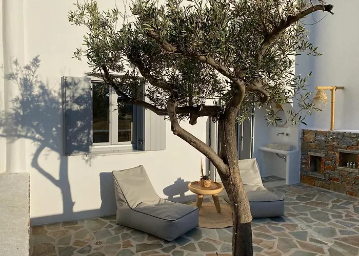 度假居 Beachhouse Omega Naxos *